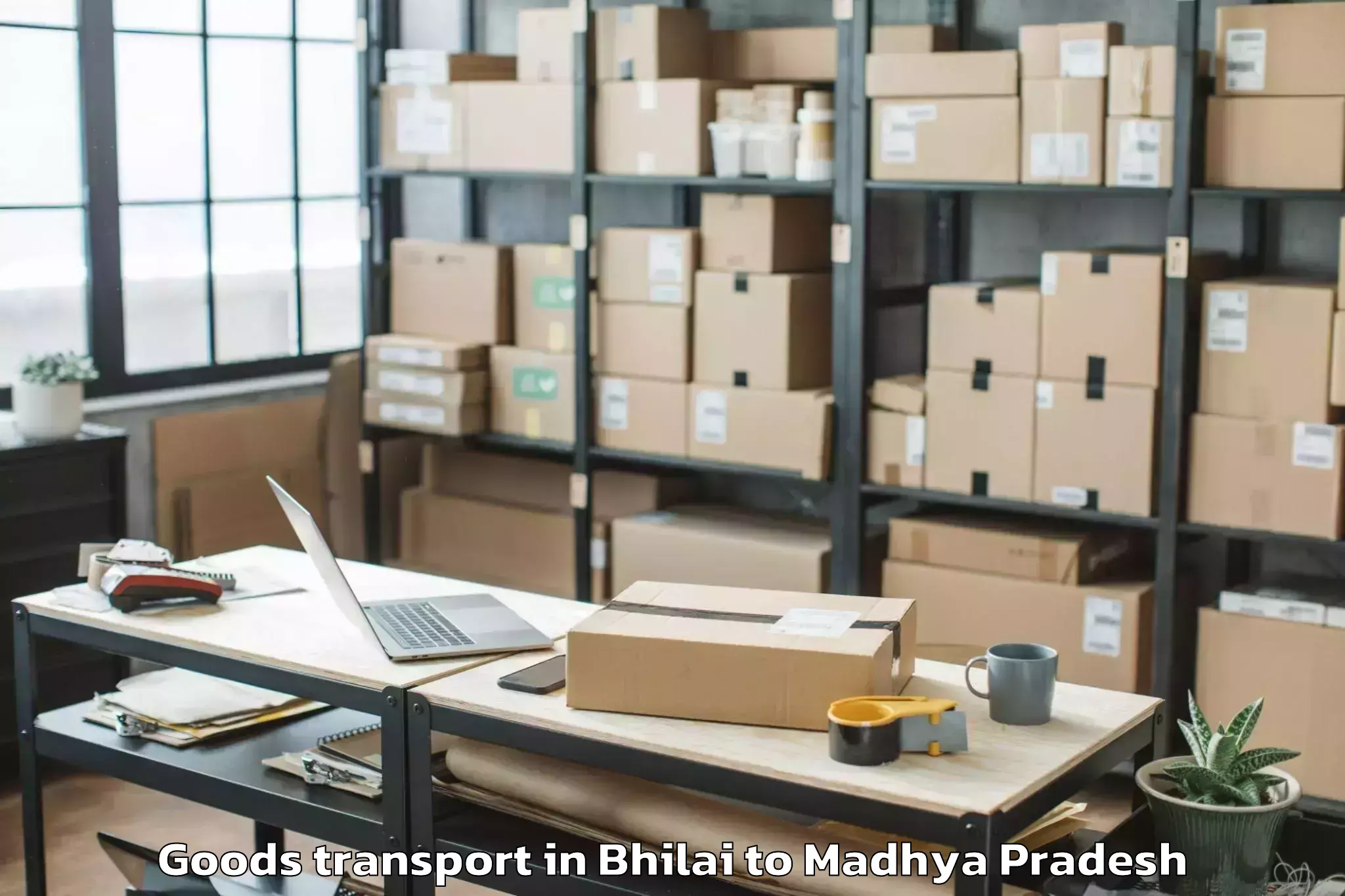 Discover Bhilai to Buxwaha Goods Transport